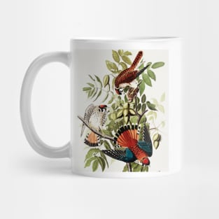 Bird of America  Bird, bird lover, america, beautiful  Public domain painting by John James Audubon Mug